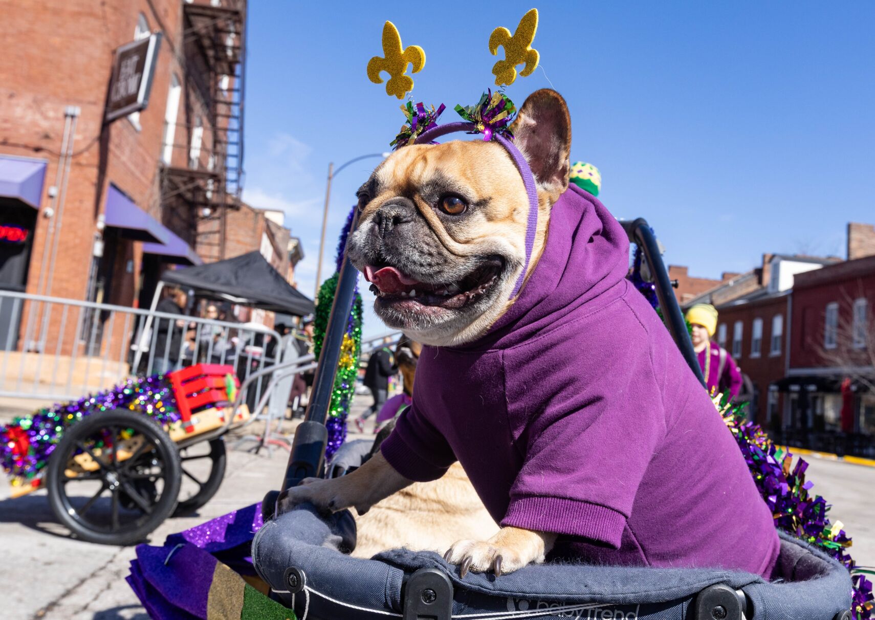 Annual Purina Pet Parade marches through Soulard